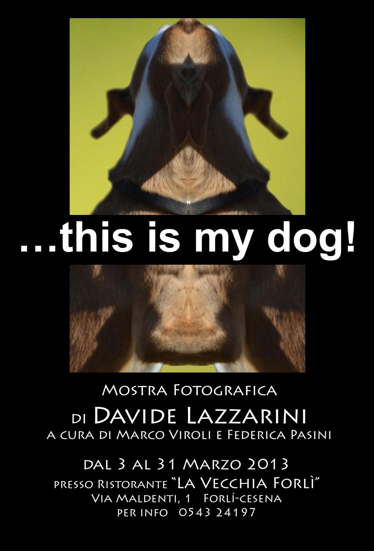 ...this is my dog! Personal photoexhibition of Davide Lazzarini