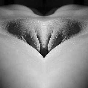 BODYLANDSCAPES2