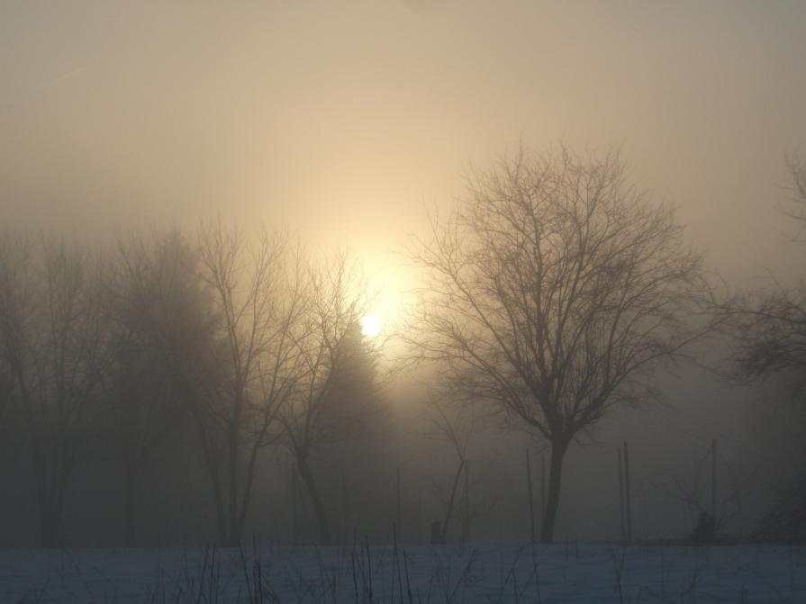 luce nel silenzio