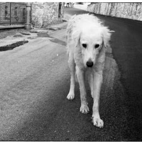 Abruzzo