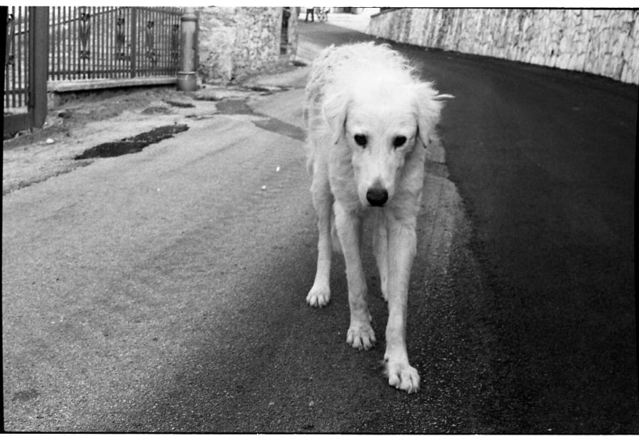 Abruzzo