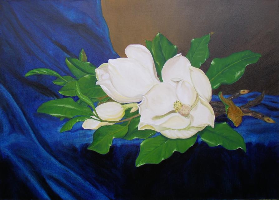 Magnolia II