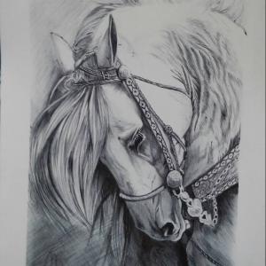 cavallino (penna biro)