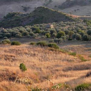 Italy. Calabria. Countryside