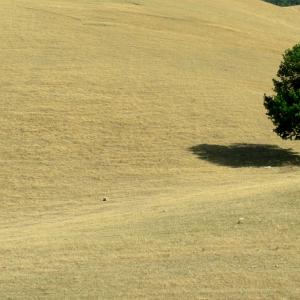 Italy. Basilicata. Potenza (2)