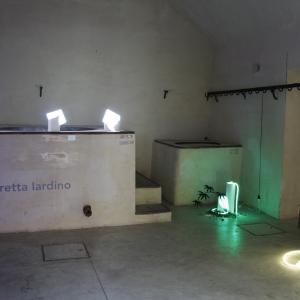 Nuvola Creativa Festival delle Arti | Living Nature - Arte, dibattiti e incontri su temi ambientali