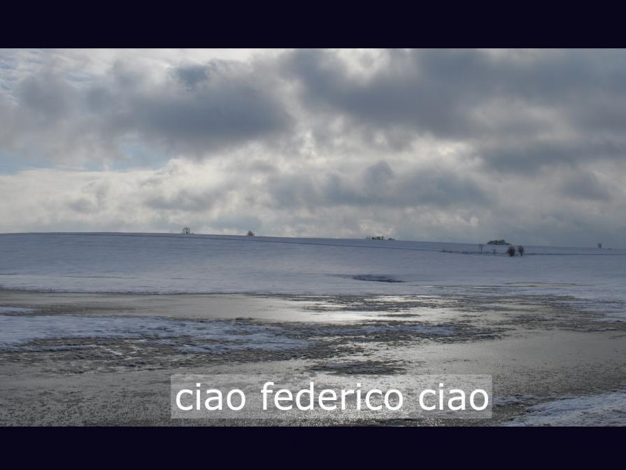 ciao federico ciao / 2012