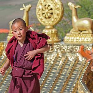 Little Monk