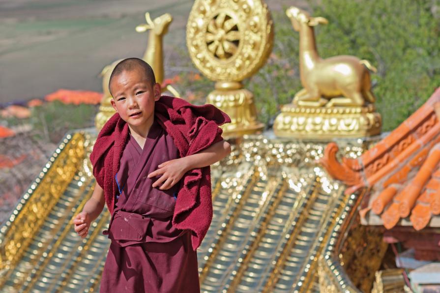 Little Monk