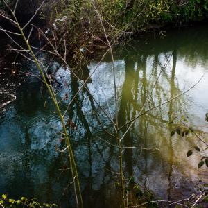 Down by The River