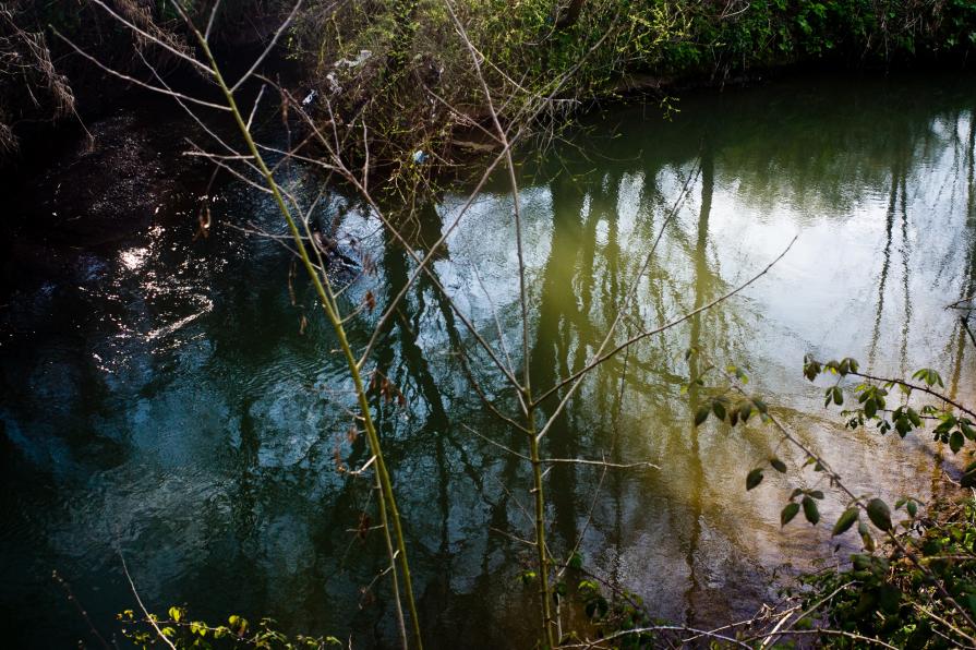 Down by The River