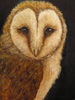 barn owl