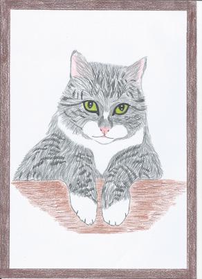 Portrait of the cat