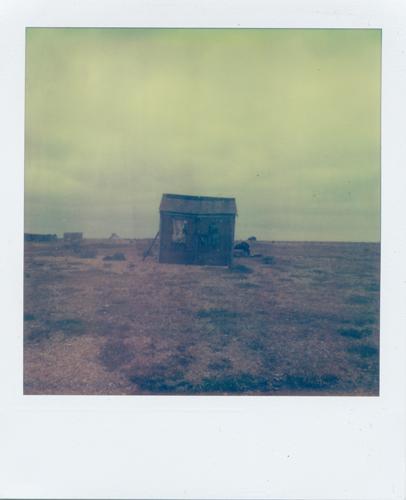 Dungeness