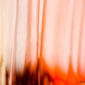 Colour in Motion (Colori in Movimento) 1078