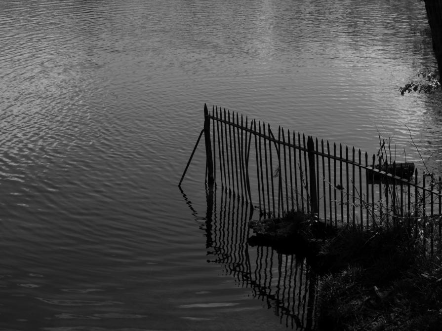 Ponds Hampstead heath 