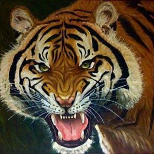 Tigre