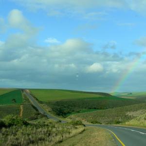 South Africa. Un/natural colors