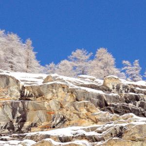 Italy. Val d'Aosta. White and his reflexes