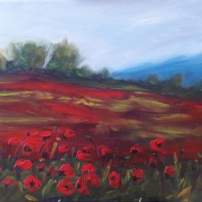 poppy field