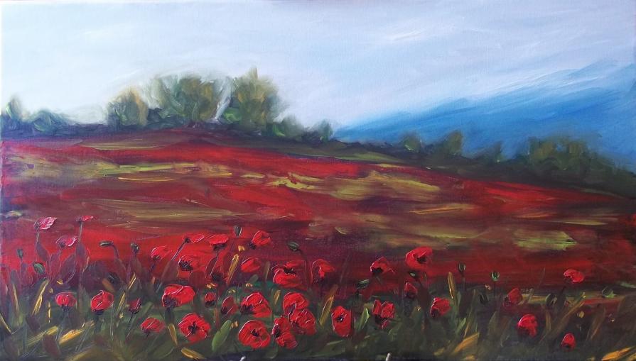 poppy field