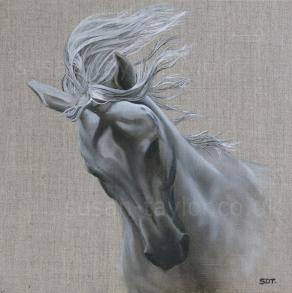 Spirit of the Horse 3