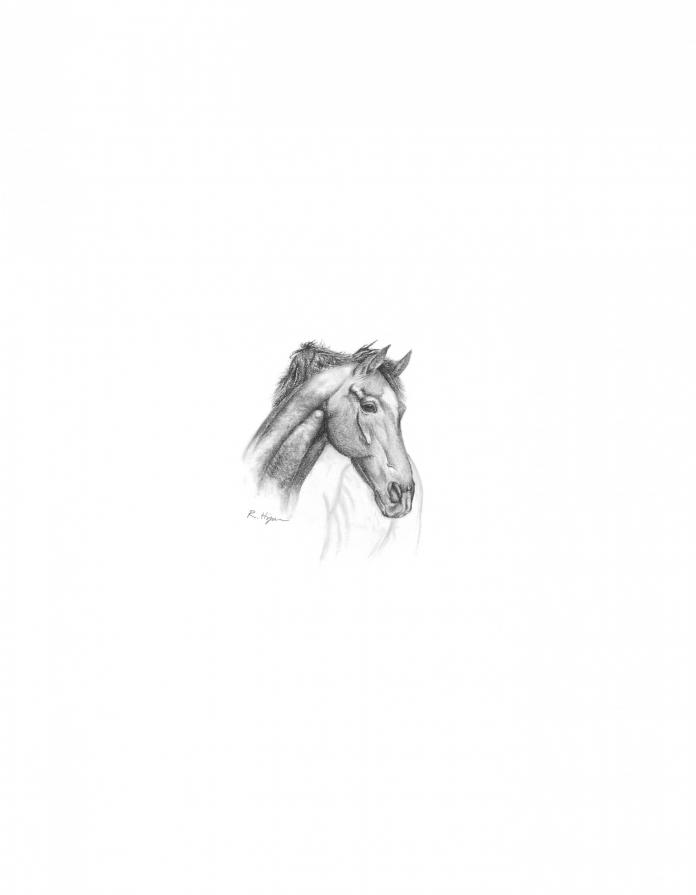 Portrait of a Horse