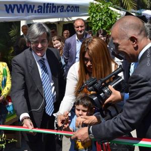 Planta il giardino e non solo