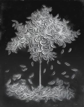 BLACK TREE (MADE FROM A THOUSAND LIPS)