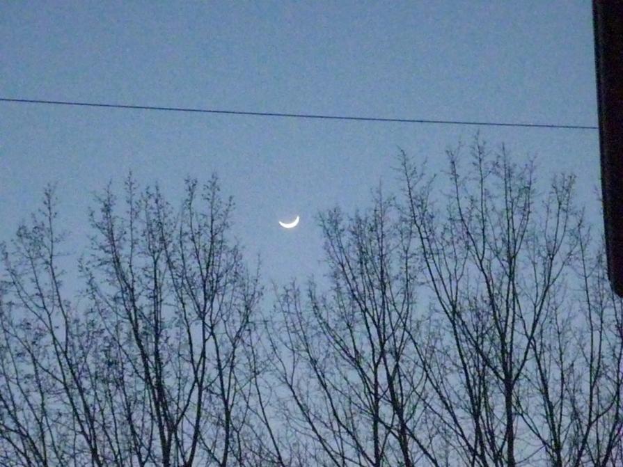 il sorriso della luna