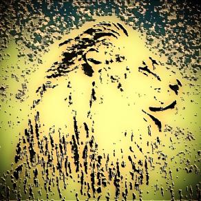 THE LION