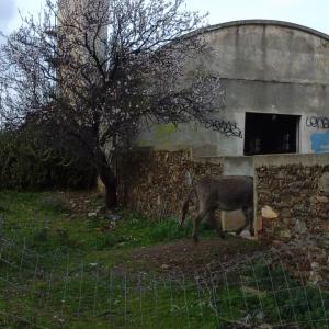 trovare un'altra strada