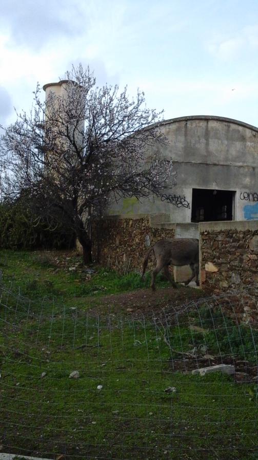 trovare un'altra strada