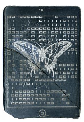 CODEX (butterfly)