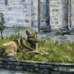 53. Dog outside Koutloumousiou monastery 