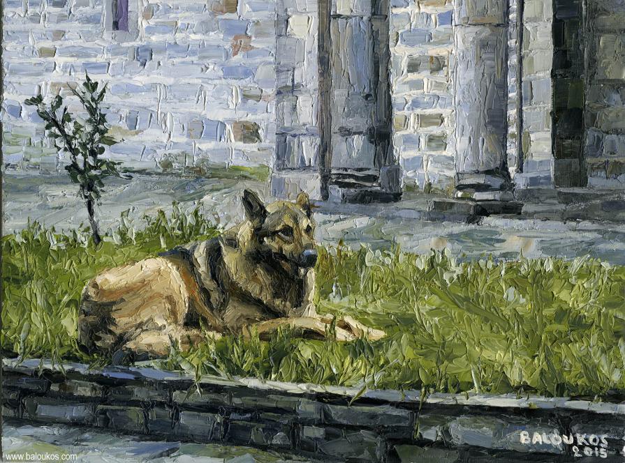 53. Dog outside Koutloumousiou monastery 