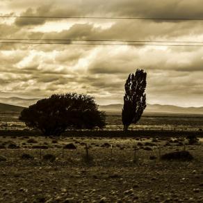 Vento patagonico