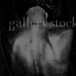  Gallery Stock Collections