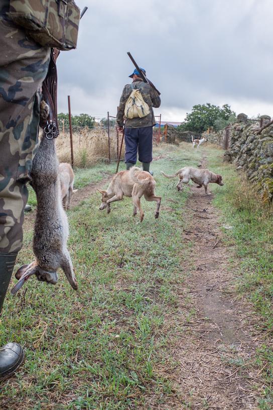 Hunting Season - © - www.zachamartinez.com