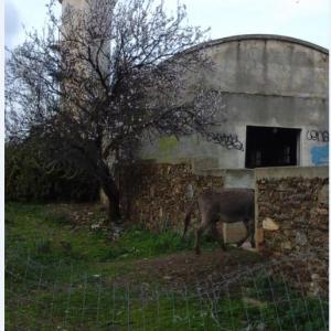 trovare un'altra strada