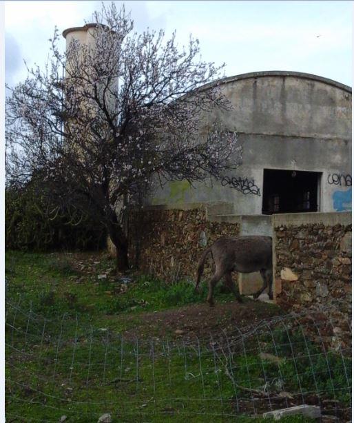 trovare un'altra strada