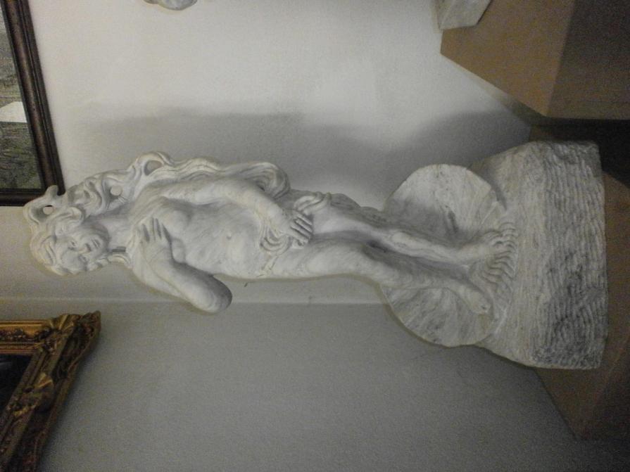 la mia venere