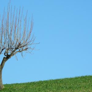 Italy. Calabria. Countryside