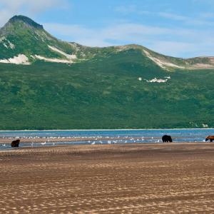 USA. Alaska 2/3. Boundaries and beyond