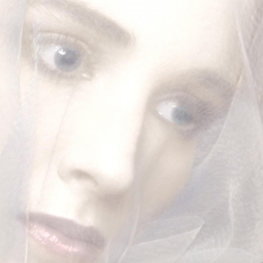 Veiled Study IV