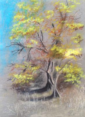 Autumn tree