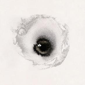 eye