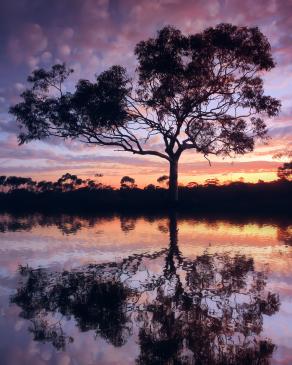 Sunset reflection - Kambalda, Western Australia - Limited Edition 3 of 5