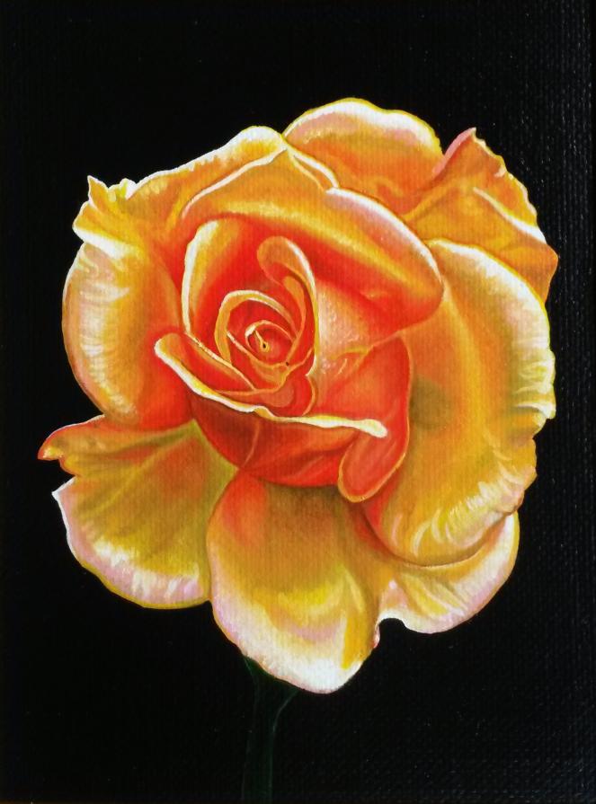 "YELLOW ROSE"