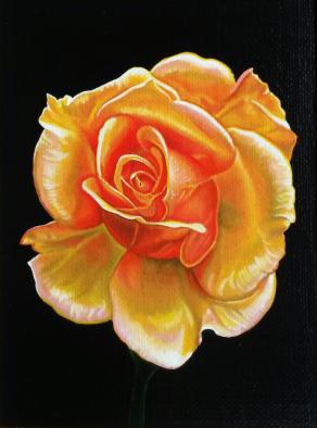 "YELLOW ROSE"